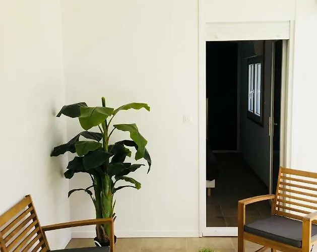 Blanco Y Madera * 나르본